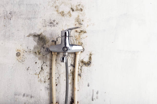 Best Water Damage Restoration  in Ckam Housing, HI
