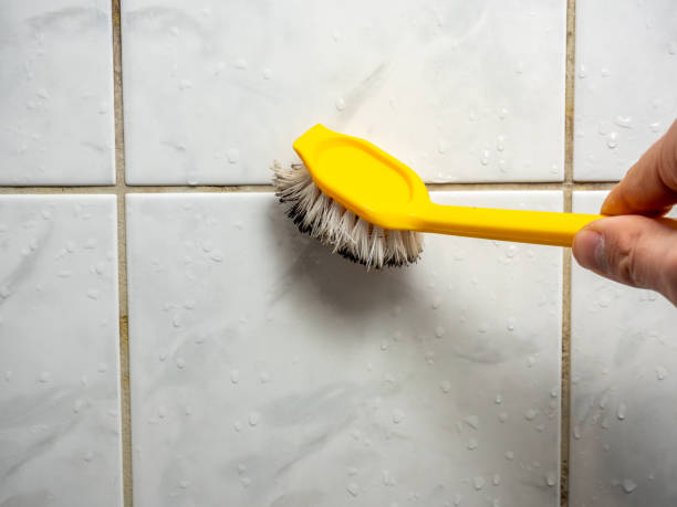 Best Professional Mold Removal  in Ckam Housing, HI