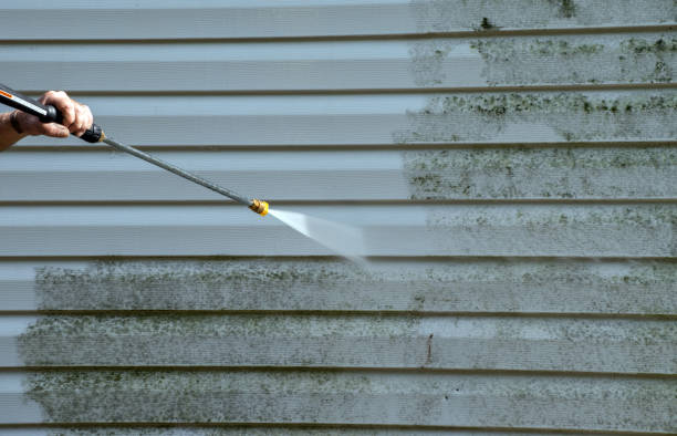 Best Mold Cleaning Services  in Ckam Housing, HI