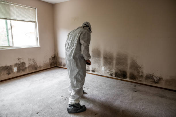 Water Damage Restoration in Hickam Housing, HI